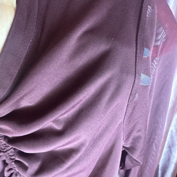 Selfie Burgundy Ruched Long Sleeve Mesh Top - Picture 6 of 7